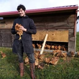 Logo de Livraison poulets bio marché Harmonium