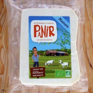 Panir