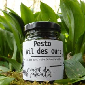 Pesto Ail des ours