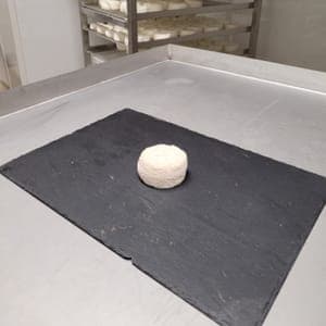 Crottin de chèvre affiné