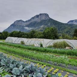 Le Jardin à Emporter #5