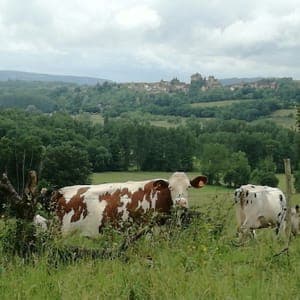 LA FERME DU PUY DE L AIGUILLE