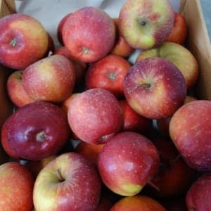 POMME BIO DALINETTE