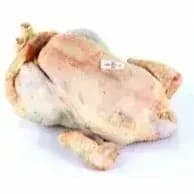Poule Gasconne