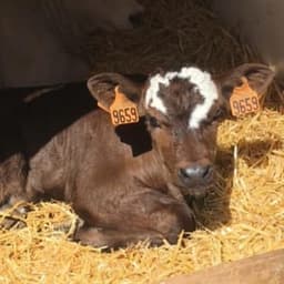 Ferme du Fayet #0