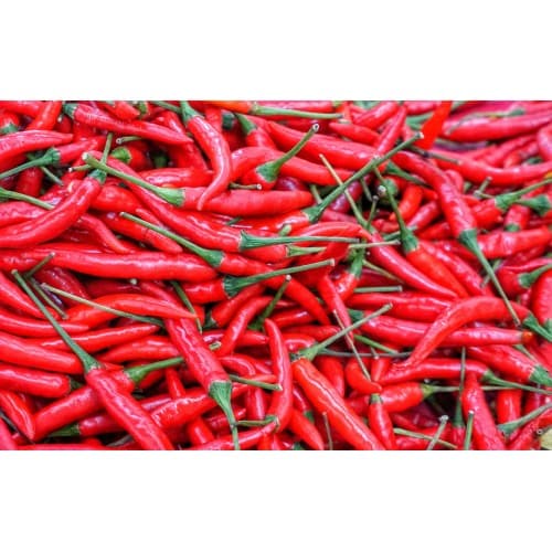 Graines piment de cayenne