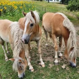 L'equi-Valence #6