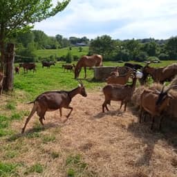 Ferme de Martignac #6