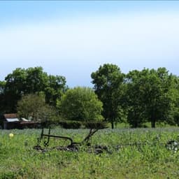 Ferme du Maine Thelottes #7
