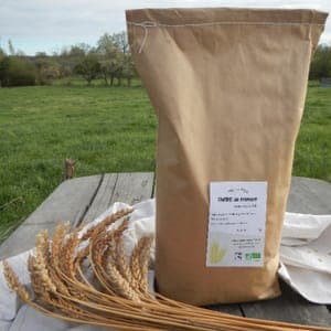 Farine de froment T65