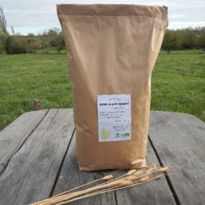 Farine de petit épeautre T110