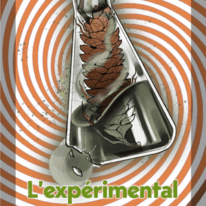 Kombucha - Expérimental