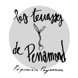 Les terrasses de Perramond #8