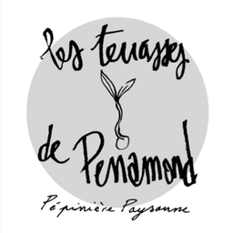 Les terrasses de Perramond #7