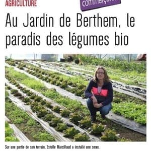 Au Jardin de Berthem