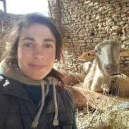 La Bergerie de la Perrière - Camille DAVID