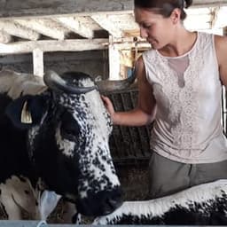 Ferme de Rosalie  #5