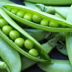 Petits pois bio 500 gr