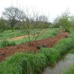 La ferme du jardin de pluie #3