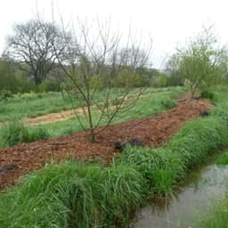 La ferme du jardin de pluie #4