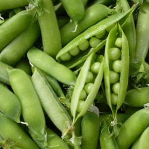 Petit pois