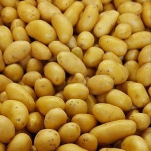 Pomme de Terre Grenaille