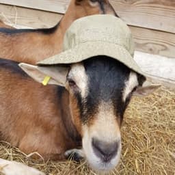 Ferme changement d'ère #4