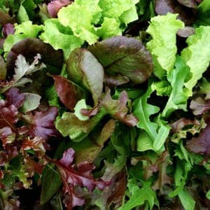 Mesclun