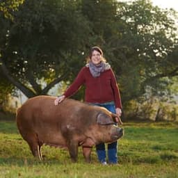 La ferme du bout d'chemin #3