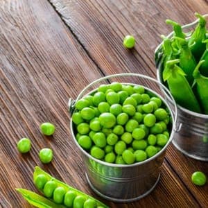 Petits pois - Producteur partenaire AB