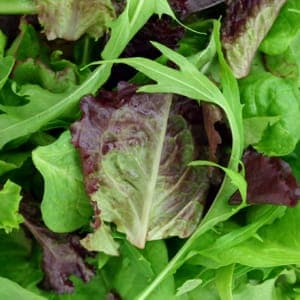 Salade mesclun asiatique