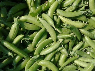 pois croquant