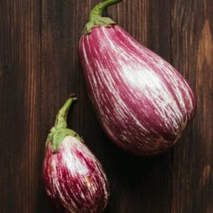 Aubergine rayée