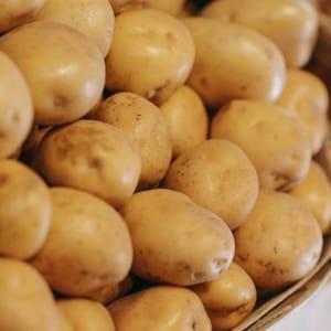 Pommes de terre chair ferme