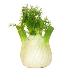 Fenouil 500g