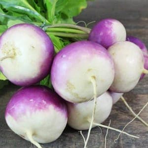 Navet nouveau jaune ou violet, la botte