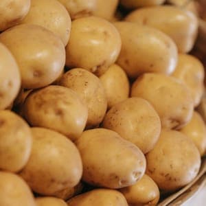Pommes de terre polyvalente 