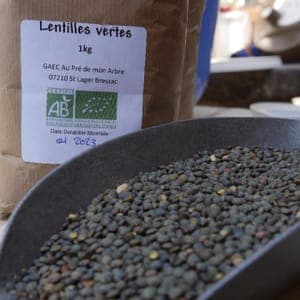 Lentilles Vertes