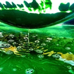 Aliment Terre Spiruline #7