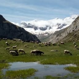 Ferme des Petits Prés #7