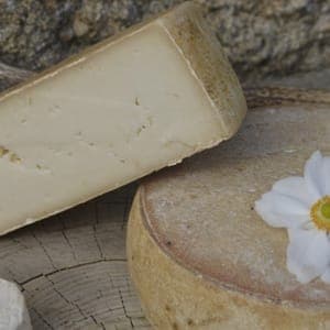 Tomme de Chèvre