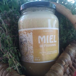 Crémeux de printemps