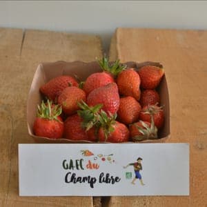 fraise