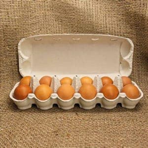 Oeufs BIO de la ferme des pierres gardées (la boîte de 6)