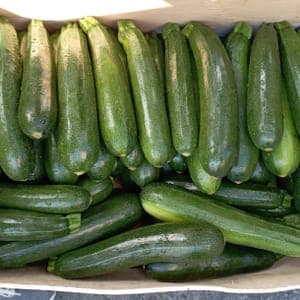 Courgette
