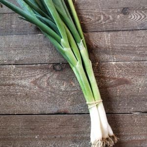 Oignon cébette frais mix de blanc et de rouge