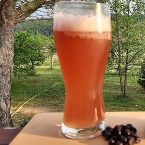 La Molleycoise Blanche fruitée