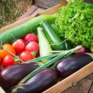 Petit panier de légumes