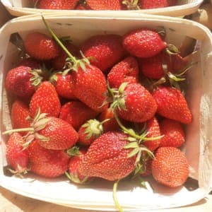 fraises