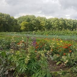 Logo de Aux Jardins de Perrine